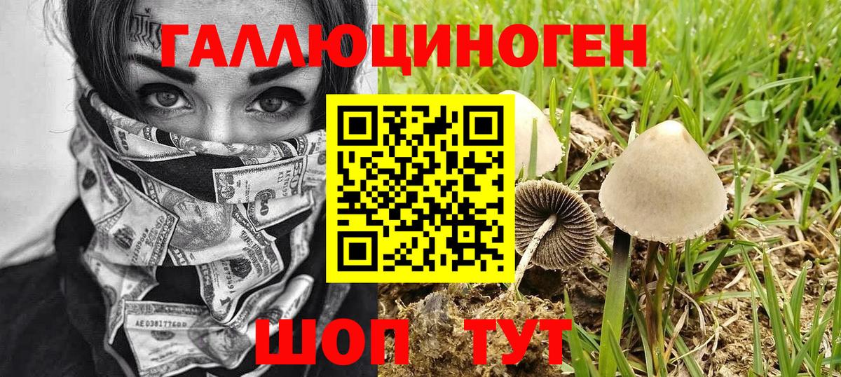 Галлюциногенные грибы прущие грибы Екатеринбург